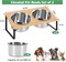 Dog Bowls Stand Bamboo Raised Dog Bowl with 2 Stainless Steel Food Water Bowls Set Food Feeding Dishes for Indoor Cat and Large Medium Dogs